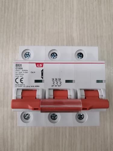 MCB LS 3P 100A 10kA ( BKH )